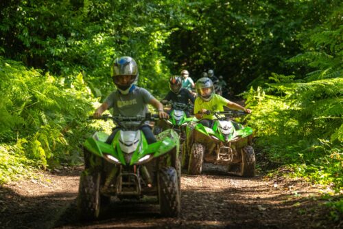 Children riding quad bikes on a track at Powderham Castle